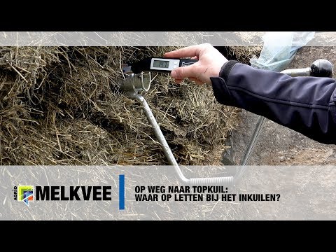 Video: Waar Kwaliteitsproducten Van Natuursteen Bestellen: Samenwerking Met Het Bedrijf OgranStroy