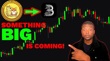 WHAT WILL HAPPEN WHEN SHIBADOGE GET LISTED ON BITMART