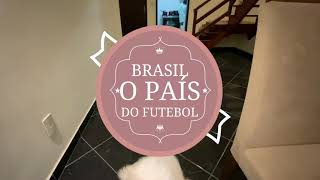 POODLE E O FUTEBOL