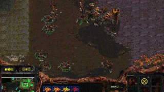 (FPVOD) ZvT vs flash build p2