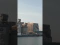 Seagulls Crying Over a Quiet Harbor in Hokkaido 🕊️🌊 #Shorts #ASMR