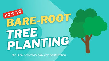 How to Plant a Bare-Root Tree (with Ben Friton) | REED Center Step-by-Step Guide