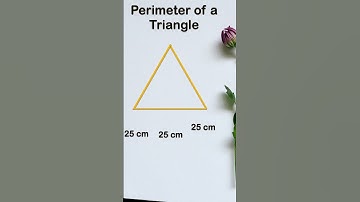 Find Perimeter of Triangle | #shorts #shortvideo #viral #trending #mathsshorts