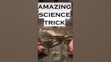 Amazing Science Trick Balancing Forks #STEM #shorts #science #experiment #sciencemagic #sciencetrick