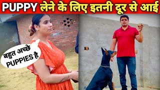 पहली बार हमारे KENNEL पर कोई LADY आईं | PEHELWAN DOG KENNEL | EUROPEAN DOBERMAN IN INDIA