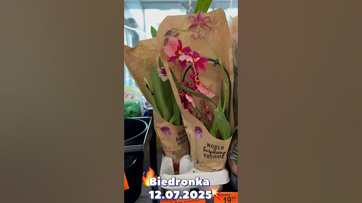 Nowa dostawa roślin w Biedronce (12.07.2025) #plants #rosliny #plantlover #maciejplants