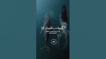 سورة الأنبياء | القارئ اسلام صبحي