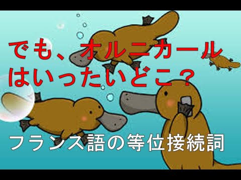 でも オルニカールはいったいどこ フランス語の等位接続詞 Youtube