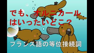 でも オルニカールはいったいどこ フランス語の等位接続詞 Youtube