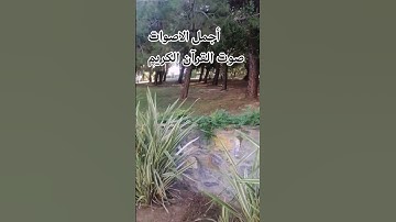 قران كريم🤲😍 بصوت جميل للشيخ محمد الحيدان سورة طه #اكسبلور #المصحف #راحة_نفسية #الرحمن #تصويري