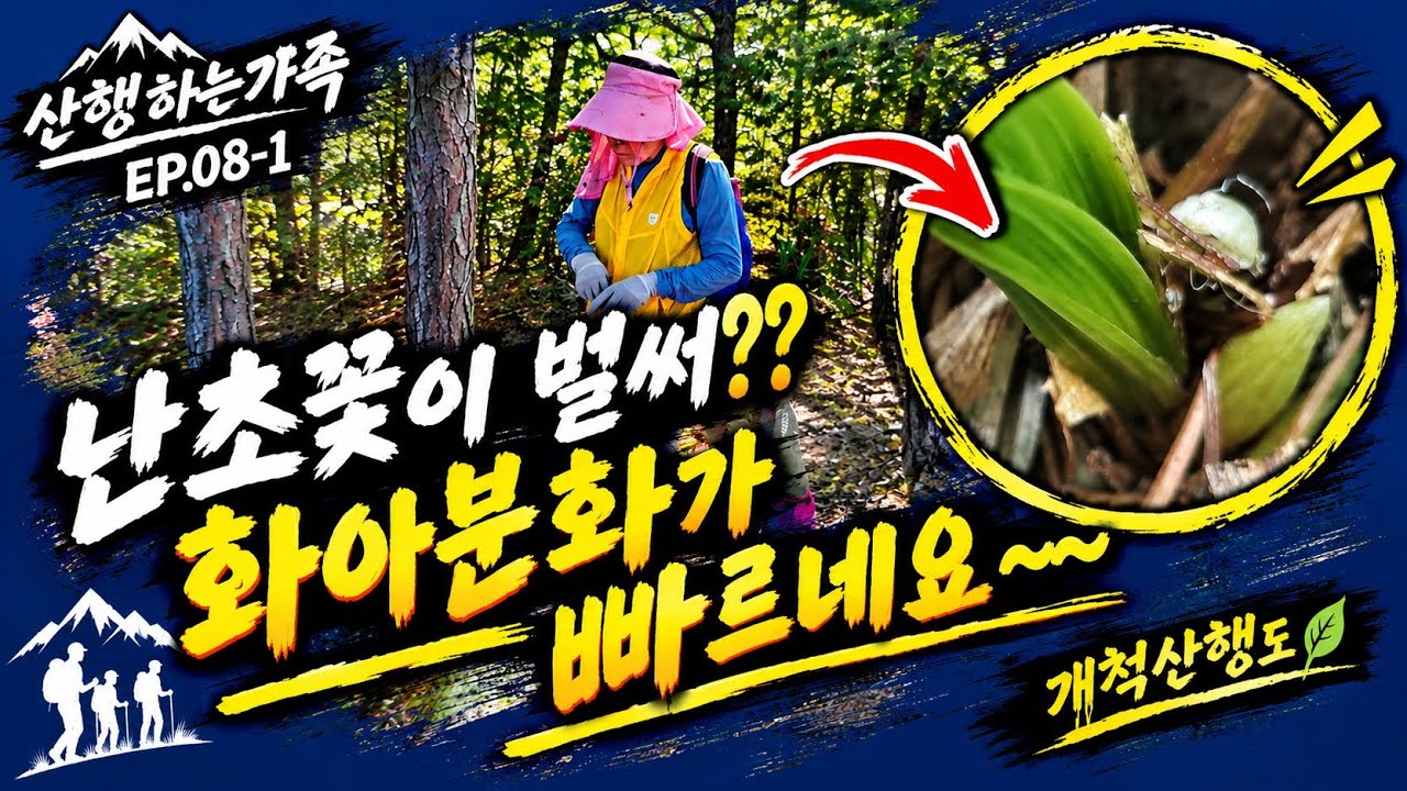 ‼️[산행하는가족]ep8  서해안 바닷가 산행 올해엔 색화가 많이 나오겠네요~~‼️