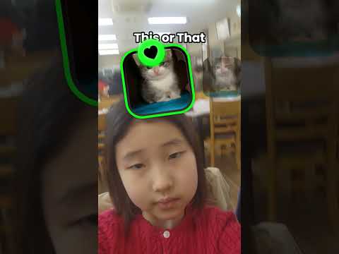 내 스타일인고양이 찼기