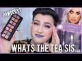 BRUTALLY HONEST REVIEW - NEW ABH NORVINA PALETTE... Hit or Miss?