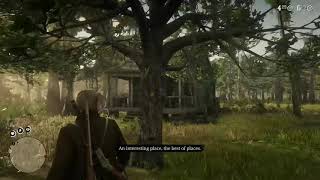 Red Dead Redemption 2 - shooting Sonny in the groin