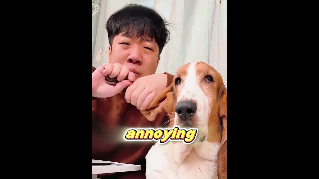 His Dog Has the Longest Ears…They Ruin Every Meal!