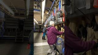 Revolutionizing Dairy: Automated Milking Readiness in 2024 Cow Farms