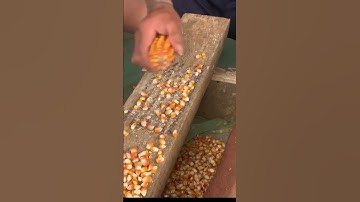 Create Your Own Corn Sheller and Master Its Use #SlipCasting #Electromagnet #Clay #PVCRepair