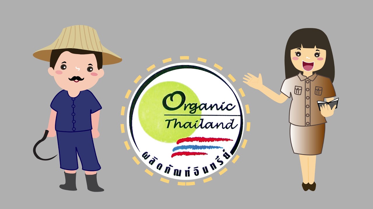 การผลิตข้าวอินทรีย์ตามมาตรฐาน Organic Thailand