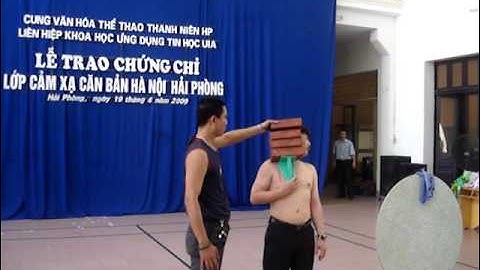 Biểu diễn hút đồ vật, bàn ủi, gạch - Cảm xạ học Việt Nam (1)