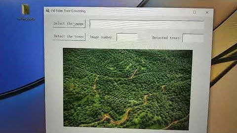 Oil palm tree counting