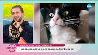 :     - Papi Hans (08.11.2018)