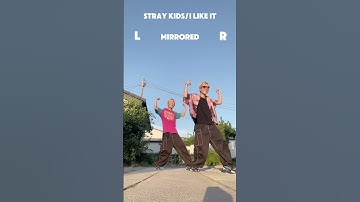 New Dance Tutorial!!Stray Kids"I Like It"Mirrored dance #shorts