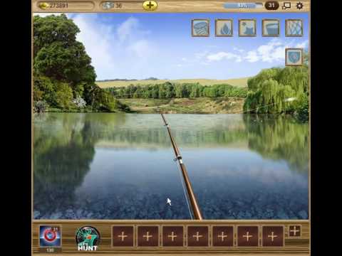 Video: Yuav Ua Li Cas Catch Crucian Carp