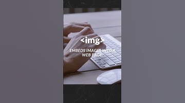 The 5 Most Essential Html Tags You Need To Know!