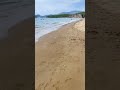 Discover the Stunning Beauty of Iztuzu Beach 🌊🏖️ #IztuzuBeach #TravelVlog #BeachLife
