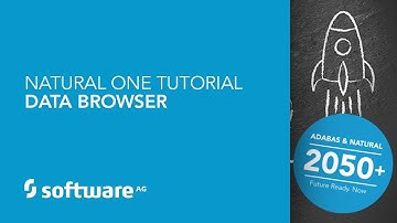 Natural ONE Tutorial - Data Browser
