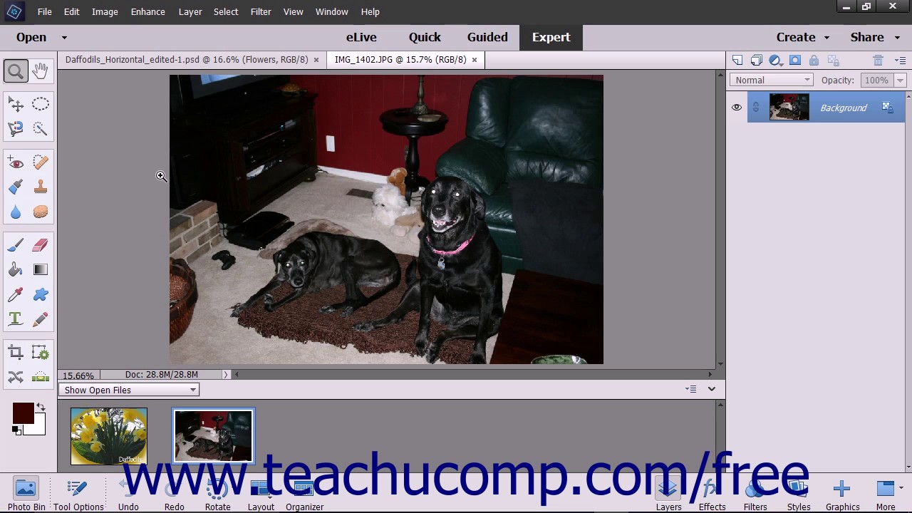 adobe elements training adobe elements training