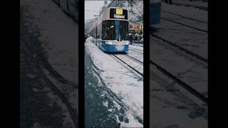 Winter In Zurich Switzerland ?? | Travel in Snowy Weather | switzerland zurich shorts nature