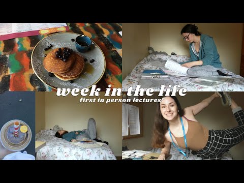 week in the life of a psychology student *FIRST in person lectures*