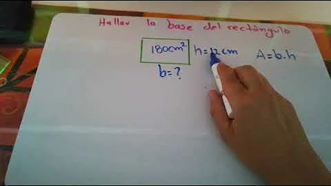 Como calcular base e altura?