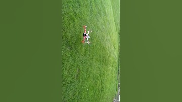 Reptile 500 with apm 2.5