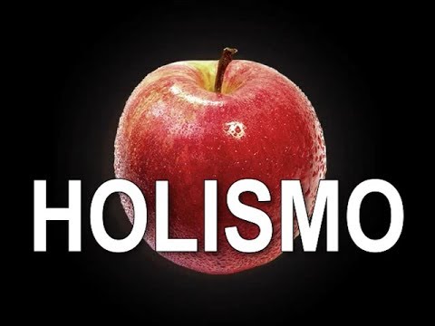 Holismo - O que é? | Experimente