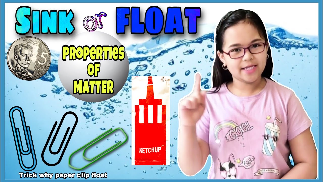Sink or Float Science Experiment for Kids Why paper clip float