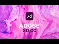 Adobe XD CC 2019 NEW Features!