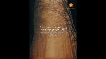 قُل يا عِبادِيَ الَّذينَ أَسرَفوا عَلى أَنفُسِهِم لا تَقنَطوا // القارئ عمر عبدالله