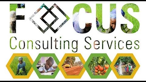 FOCUS CONSULTING SERVICES INTRODUCTION 2022 NIGER CONSULTING FIRM CABINET CONSULTATION NIGER