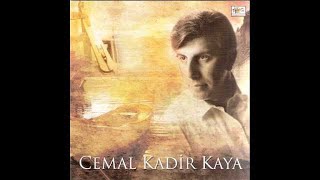 Cemal Kadir Kaya Unuttum Artuk Seni