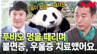 [#유퀴즈온더블럭] "행복을 주는 보물'✨ 이름값 제대로 하는 푸바오 못 본 사람 없게 해주세요ㅠㅠ 보기만 해도 마음이 편안해지는 자연 치료제 푸바오🐼