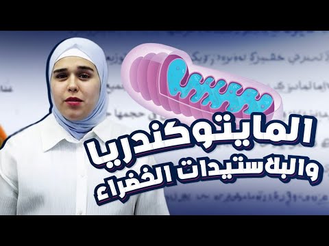 المحاضرة السادسة الفصل الأول أحياء السادس علمي الإستاذة لينا إحسان