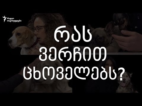 რას ვერჩით ცხოველებს?