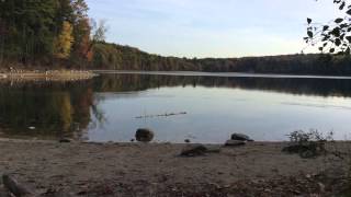 The Experience of Walden