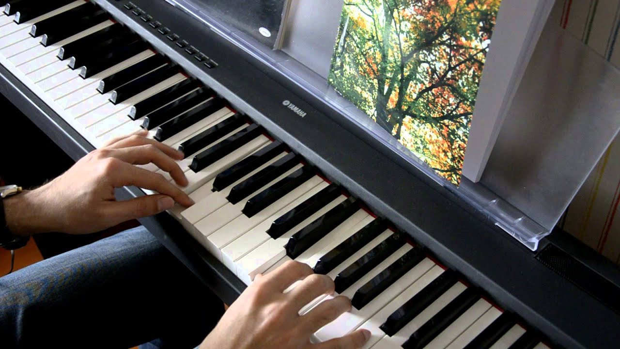Ludovico Einaudi In A Time Lapse, Two Trees YouTube