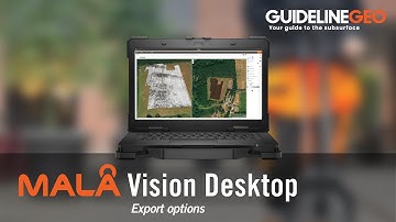 MALÅ Vision Desktop: Export options