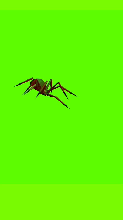 Spider Greenscreen || Greenscreen Laba Laba || #creativecommons #shorts #greenscreen