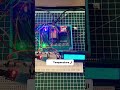 يوم 14 — بنيت نظام إنذار حرارة كامل بـ ESP32 🌡️🚨LCD + buzzer + LED كلهم شغالين مع بعض