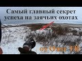 Охота на зайцев - Самый главный секрет в поисках зайцев